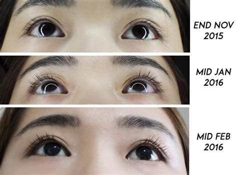 xlkash review|x lashes.